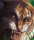 Tigre