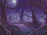 Swamp